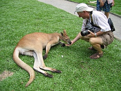 118 Port Douglas Wildlife Habitat